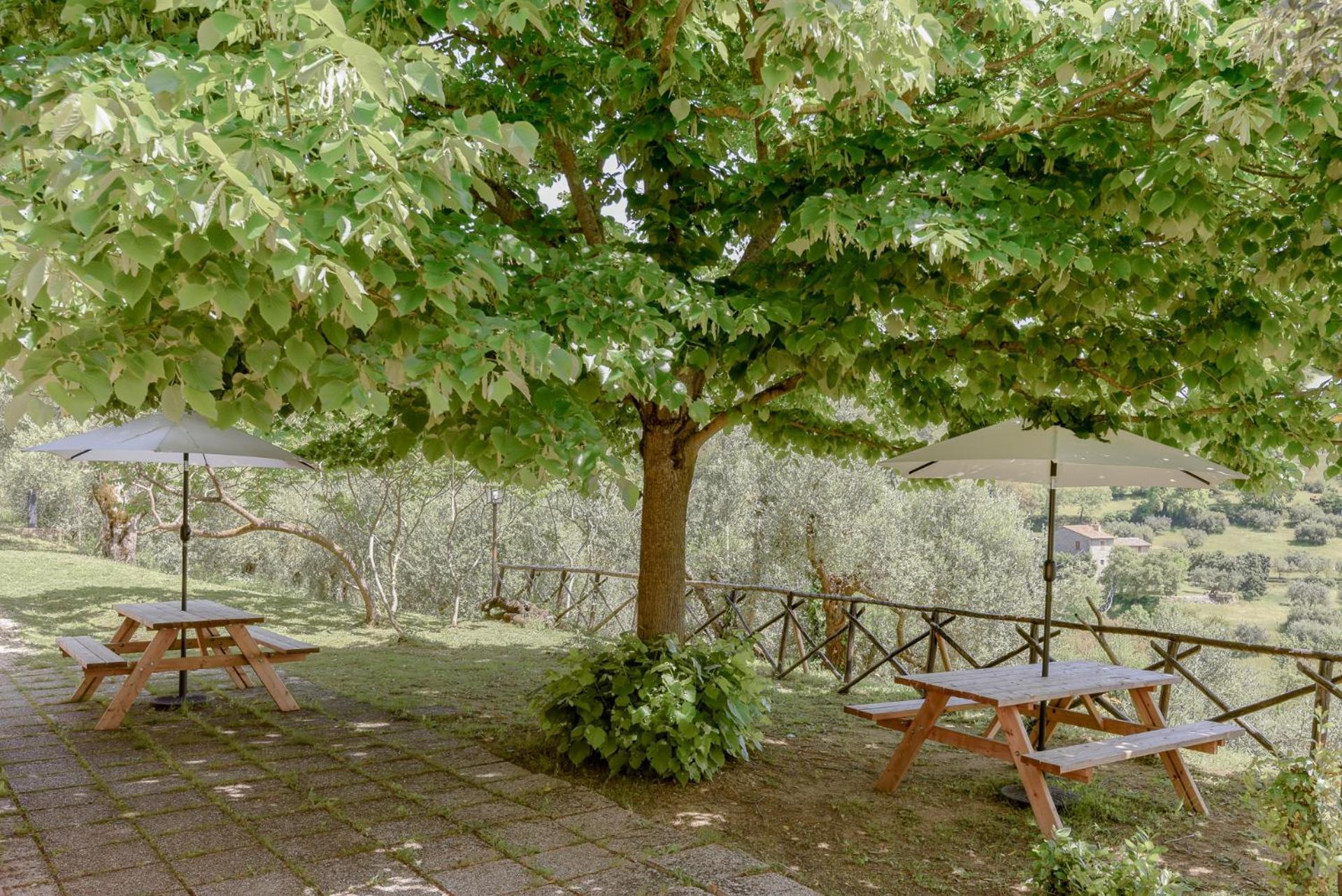 Agriturismo Il Mulino Delle Canutole Magione Dış mekan fotoğraf